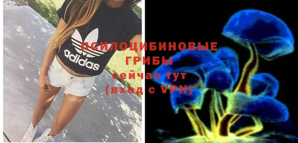 тгк Аркадак