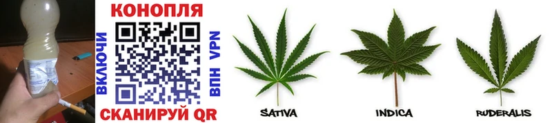 Шишки марихуана Bruce Banner  Купить закладки  Избербаш 